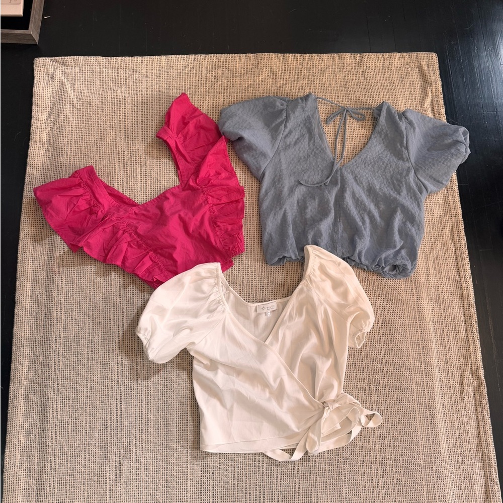 Lot of 3 Women’s Blouses WAYF ASTR